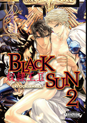 Black Sun vol. 2 - June Manga