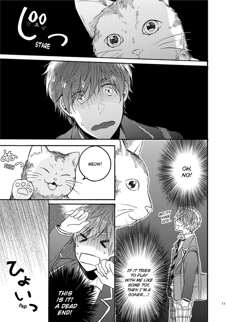 Yaoi Manga, BL (Boy's Love) Store Juné Manga Teacup Toy Boy